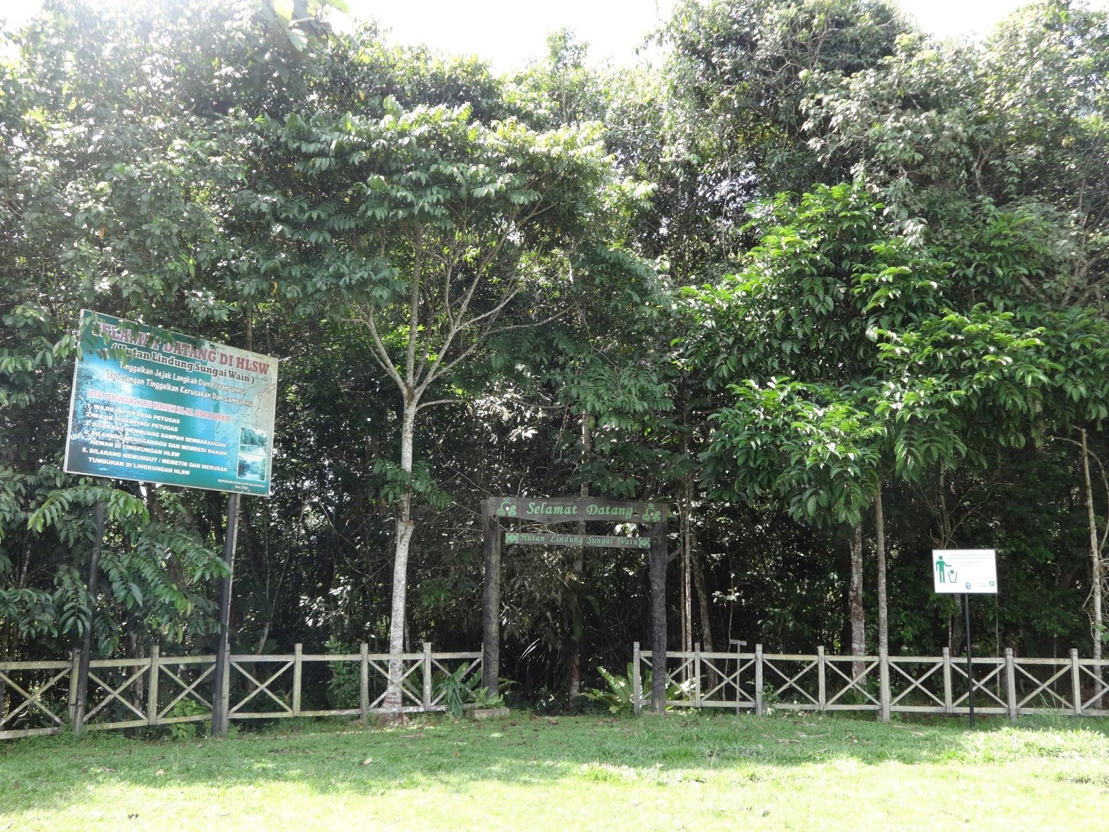Hutan Lindung Sungai Wain
