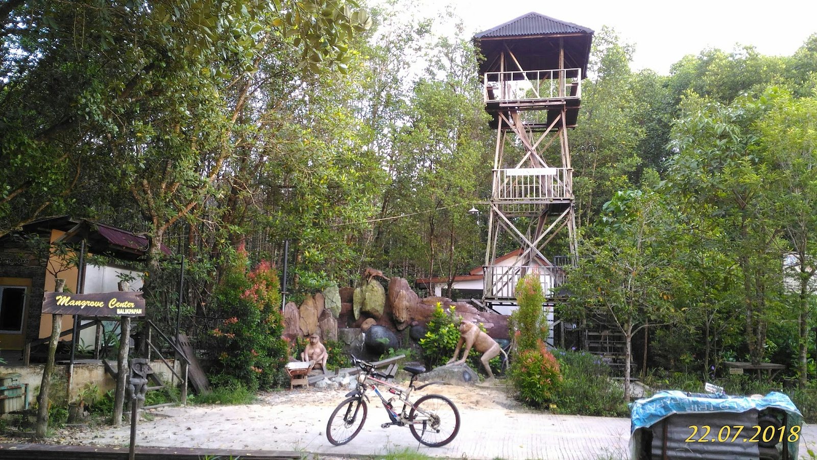 Mangrove Center